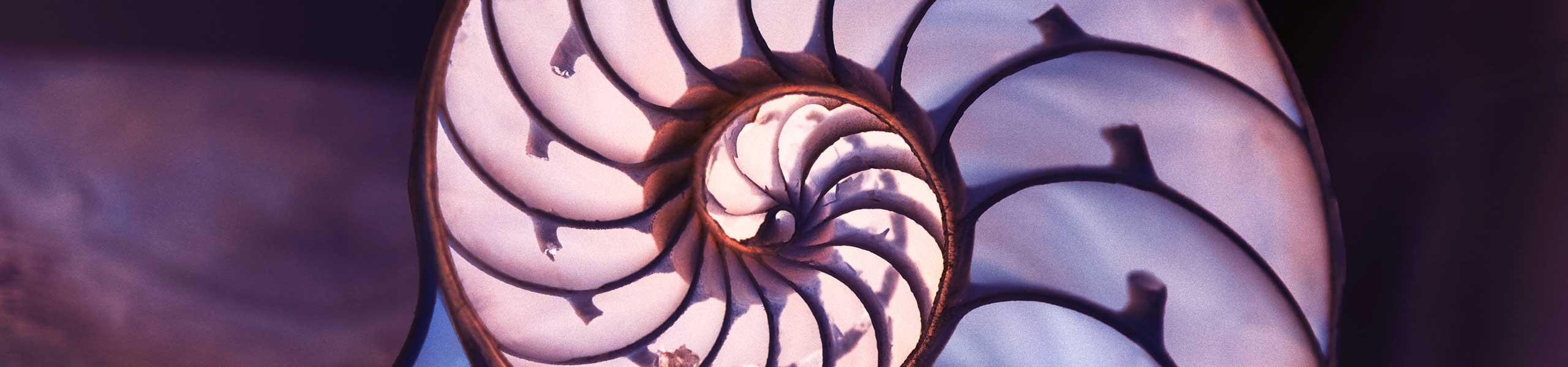Building a Flexible Layout using EMs and the Golden Ratio